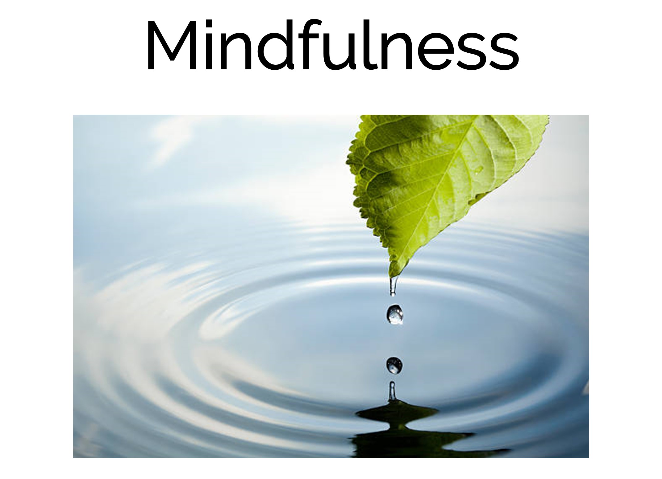 Mindfulness TNN.jpg