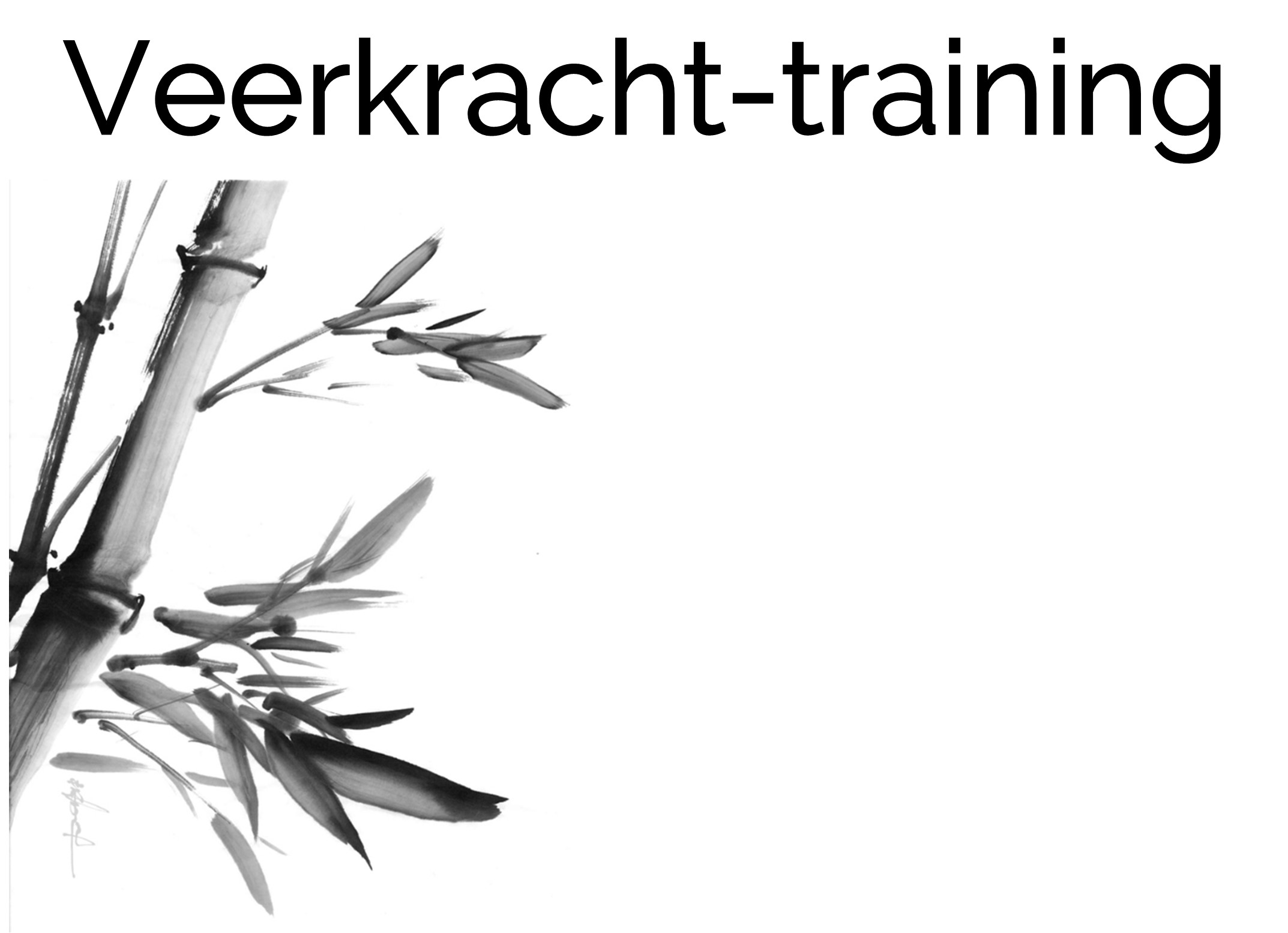 Veerkracht-training Front.jpg